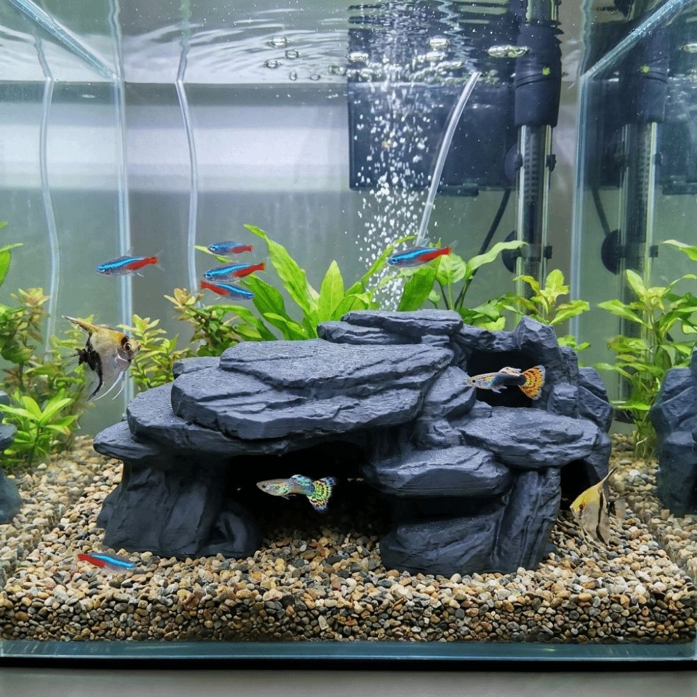 Ozdoby do akwarium z nadrukiem – Aquarium Marine Rock recenzja i cena