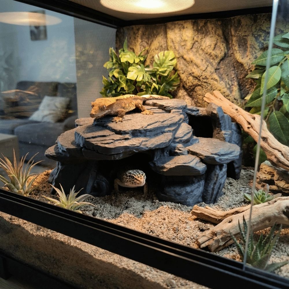 Ozdoby do akwarium z nadrukiem – Aquarium Marine Rock recenzja i cena