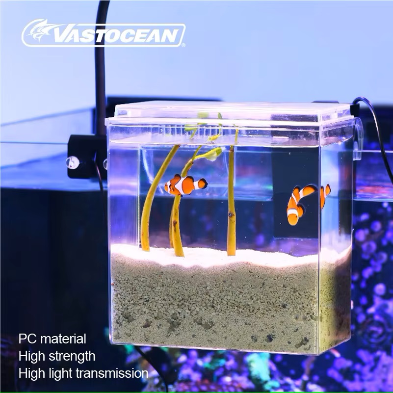 Zewnętrzny podajnik do akwariu – Marine Aquarium Overflow recenzja i cena