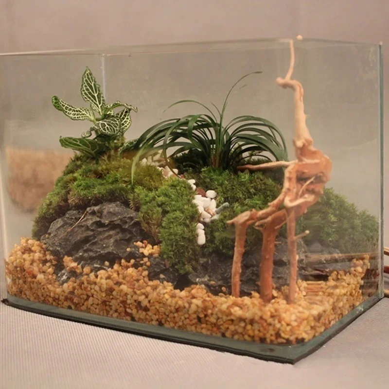 Naturalne drzewo pnia Driftwoo – Aquarium Marine Rock recenzja i cena