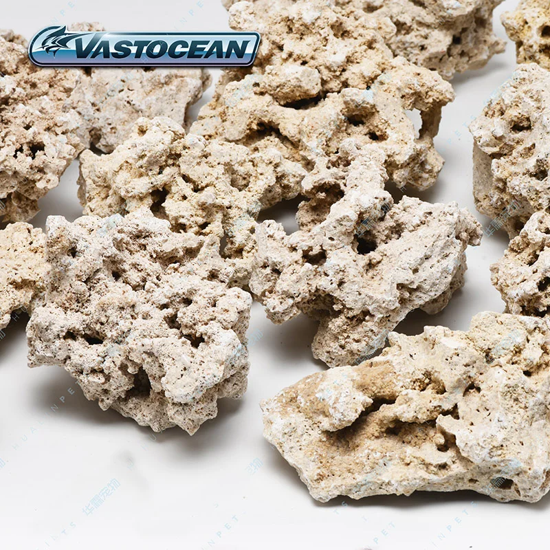 Vastocean Indonezja Java Dry R – Aquarium Marine Rock recenzja i cena