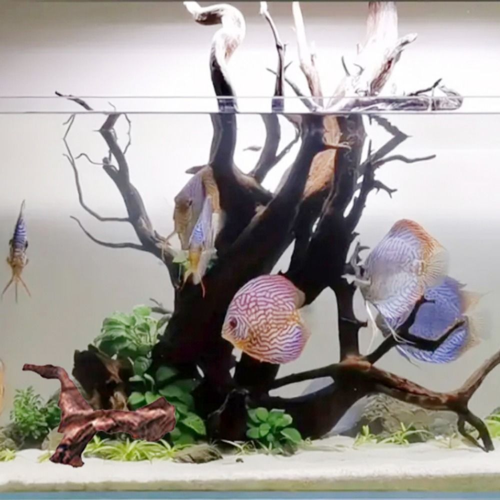 Kreatywne, nieregularne kształ – Aquarium Marine Rock recenzja i cena